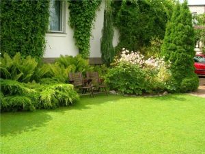 Landscaping in Aldie VA