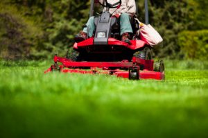 Lawn Care in Aldie VA