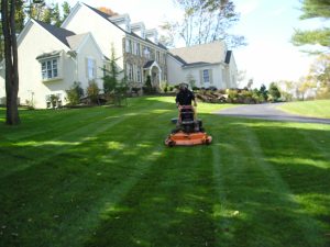 Lawn Care in Ashburn VA