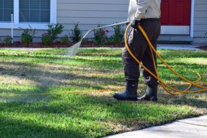 Lawn Treatments in Aldie VA